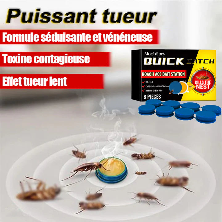 Zéro insectes dans la maison: Pack de 8 APPATS